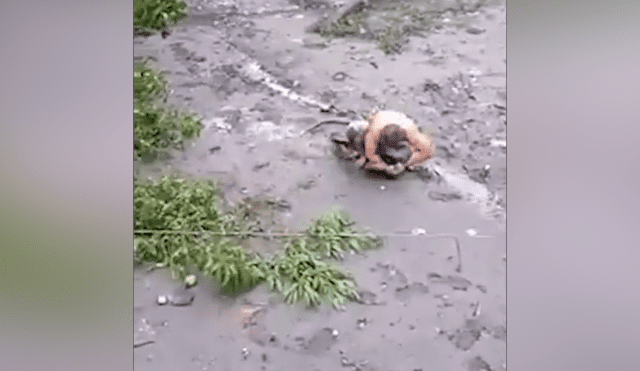 Desliza hacia la izquierda para ver el momento en que el hombre interfiere en la batalla de dos enormes serpientes en Filipinas. El video es viral en YouTube.