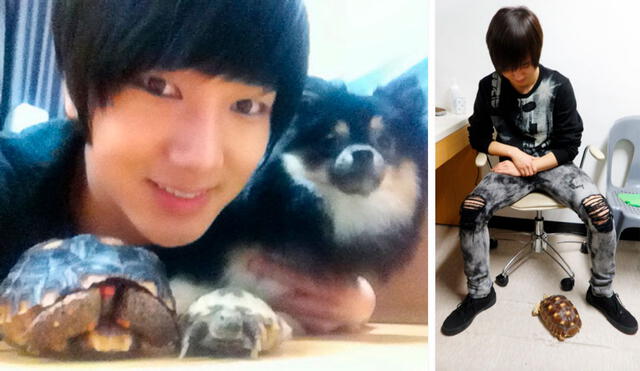 SUPER JUNIOR: Yesung jugando con sus mascotas. Crédito: Twitter E.L.F