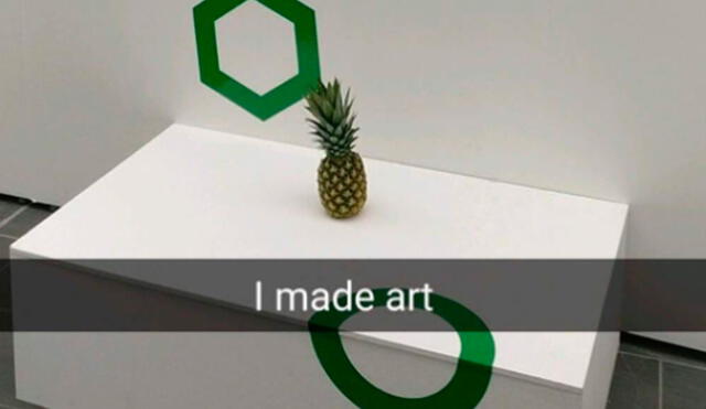 Twitter: Una piña 'olvidada' en una exposición, hizo creer que era una 'obra de arte' [FOTOS]