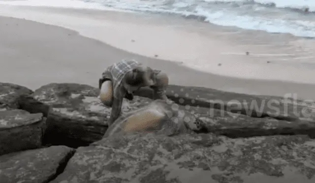 Jóvenes encuentran misteriosa criatura atrapada entre las rocas.