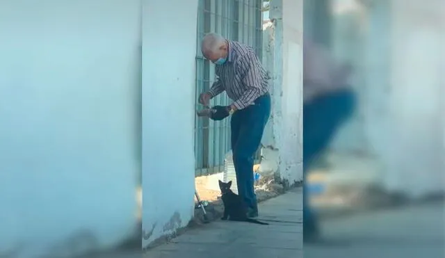 Desliza las imágenes para conocer el conmovedor gesto de un anciano para ayudar a un pequeño felino. Foto: Captura de Facebook