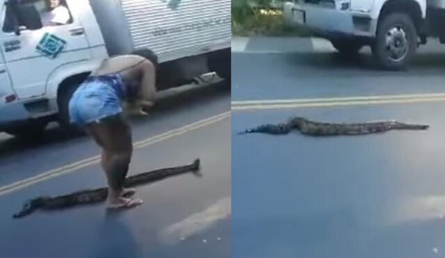 YouTube: mujer atrapó con una mano a una anaconda que causaba pánico en Brasil [VIDEO] 