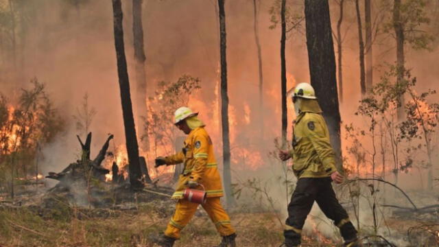 Incendio forestal en Australia: 3000 reservistas se movilizan para combatir desastre