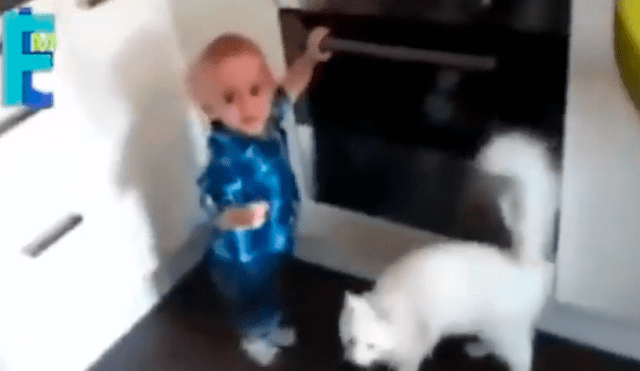 Facebook viral: preciso momento en que gato salva de morir a niño travieso que jugaba en cocina [VIDEO]