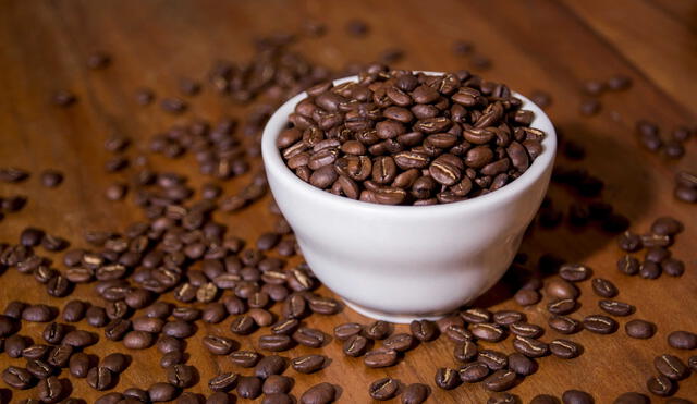 Nuevo modelo de cultivo producirá 25 mil toneladas de café