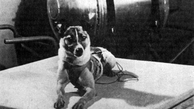 Laika partió al espacio exterior el 3 de noviembre de 1957, pero será recordada por toda la eternidad.