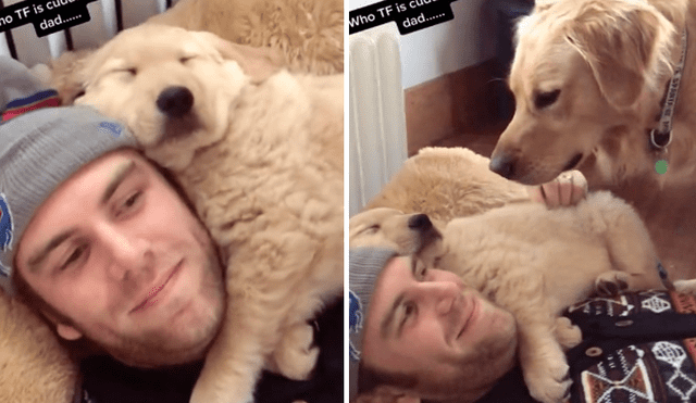 Mediante TikTok se hizo viral el momento en que un perro se pone celoso al ver a su dueño con otro can.