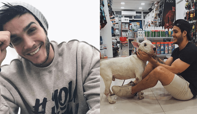 Mario Irivarren rescató a perro abandonado, lo curó y le consiguió adoptante [VIDEO]