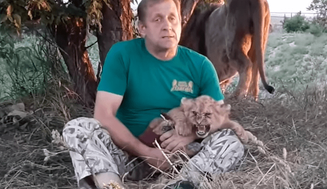 Un arriesgado hombre ingresó a recinto de leones para alimentar a león bebé.