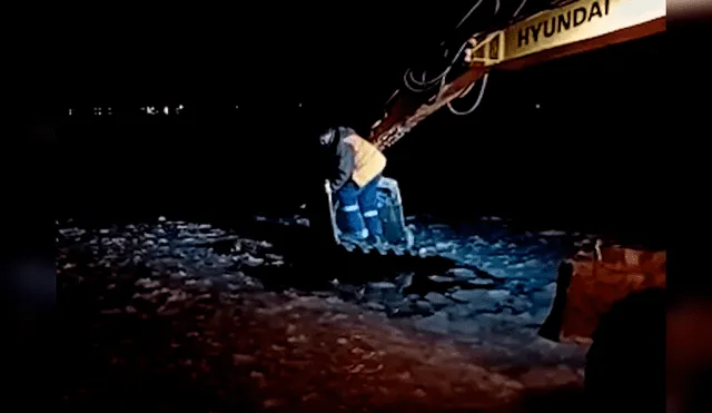 Video es viral en YouTube. Trabajadores dejaron sus actividades a mitad de la noche para auxiliar a un can que ladraba atascado en aguas congeladas
