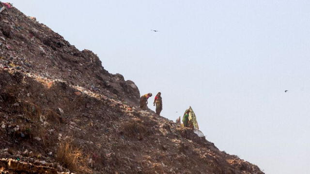 “El Everest de la basura”: India tiene la montaña de desechos más alta del mundo [VIDEO]