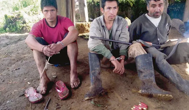 Policía destruye más de 30 mil plantaciones de amapola en San Ignacio