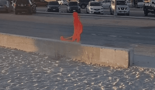 Google Maps: Chico capta una 'extraña criatura' caminando en playa de EE.UU. y queda en shock [FOTOS] 