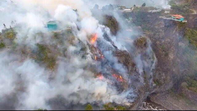 Pánico por incendio “provocado” en zoológico de Ecuador [VIDEO]