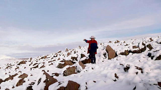 Senamhi: nevadas se prolongarán hasta el sábado en la sierra sur