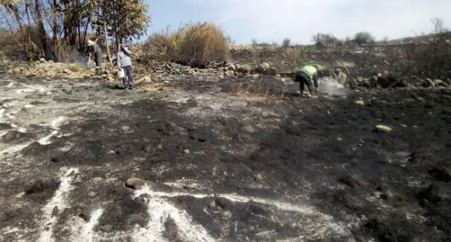 Incendio en Polobaya, fue sofocado por pobladores y Policías. Se quemaron 30 hectáreas de pastizales. Foto: COER Arequipa.