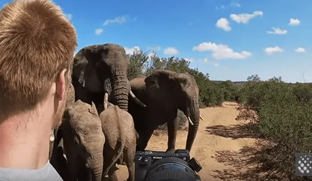 Desliza hacia la izquierda para ver algunas capturas del video viral de YouTube que muestra el increíble encuentro de una manada de elefantes con un turista.