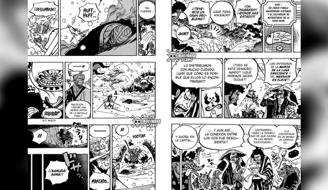 One Piece manga 938 español: "Tu Secreto", Komurasaki revela que es