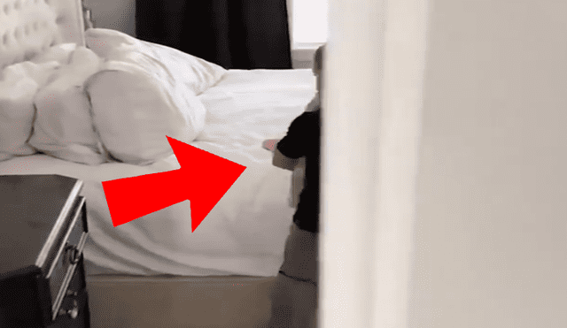 Facebook viral: llegó cansado a su casa, entró a su cuarto y encontró tierno momento de sus hijos [VIDEO]