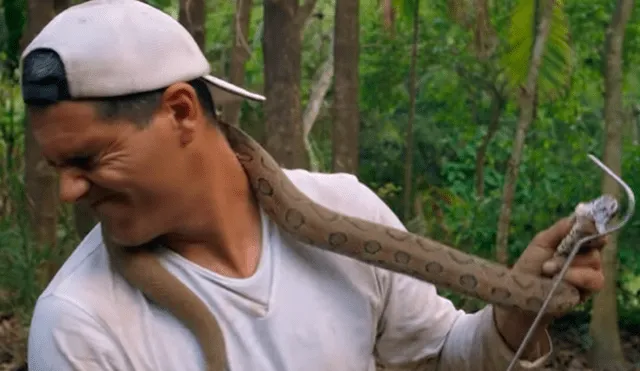 En YouTube se hizo viral la arriesgada expedición para encontrar a una de las serpientes más letales del mundo.