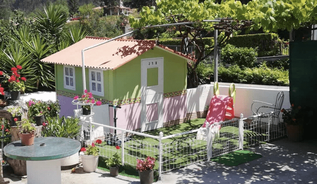 Unos abuelos aprovecharon la cuarentena para construir una casa de juegos para sus nietas. Foto: Twitter