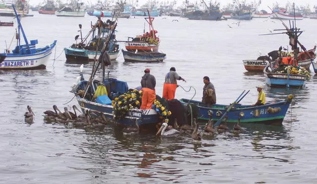Pescadores anuncian paro para el 4 de abril, desde Áncash a Tumbes