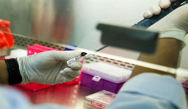 Cada vez hay más estudios abocados a la sangre relacionada con el coronavirus. Foto: EFE