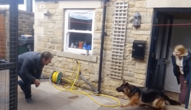 YouTube viral: así reaccionó un perro cuando se reencontró con el hombre que lo abandonó [VIDEO]