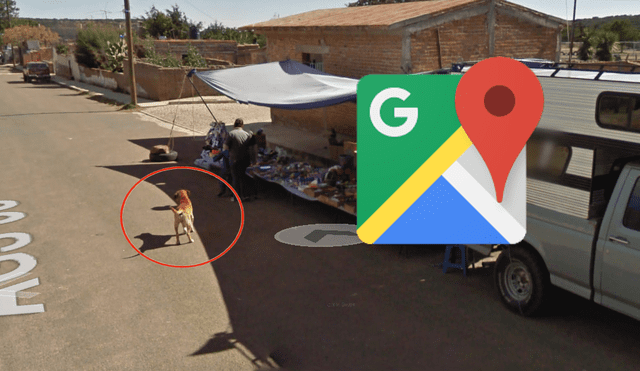 Google Maps: recorre las calles de México y encuentra un aterrador 'perro mutante' [FOTOS]
