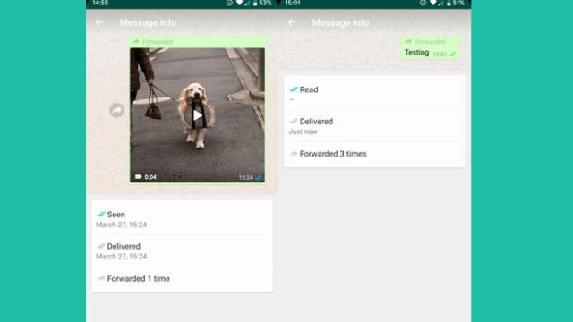 La beta de WhatsApp cuenta con un nuev función que permite saber si han reenviado tu mensaje.