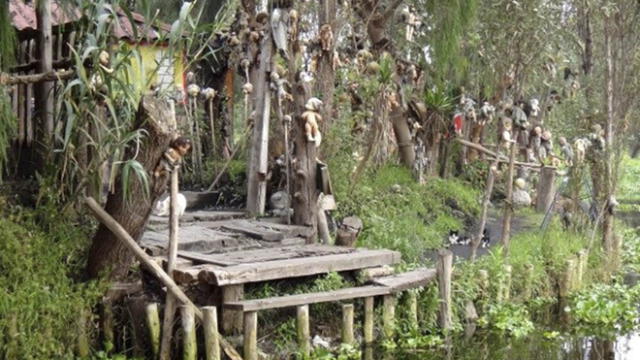  La escalofriante isla donde un hombre vive junto a más de 2 mil muñecas [FOTOS]