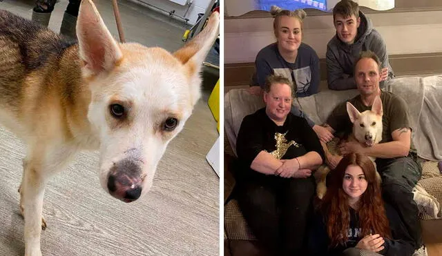 Desliza las imágenes para conocer la conmovedora historia un perro que se reunió con su familia después de 8 años. Foto: Facebook
