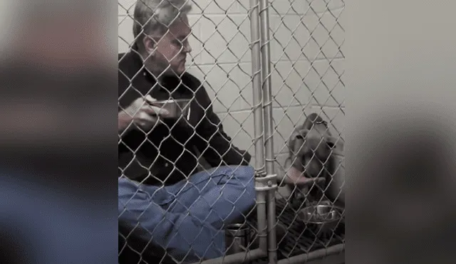 Facebook viral: veterinario aplica ‘truco’ para ganarse confianza de perro callejero y así hacerlo comer