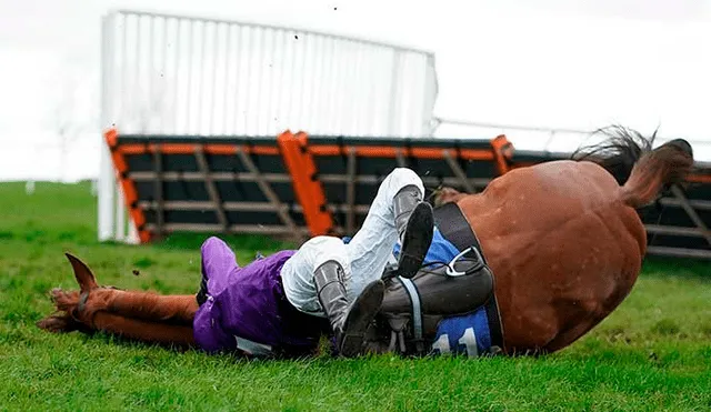 Facebook: caballo de carreras aplasta a jinete en el último obstáculo de competencia [FOTOS]