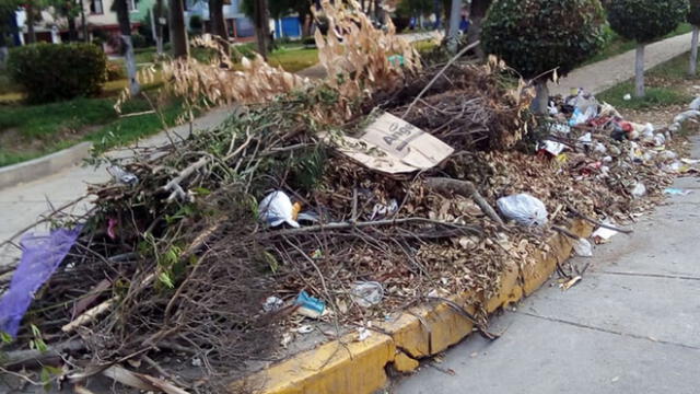Ciudadanos piden que se recoja basura de las calles de San Luis