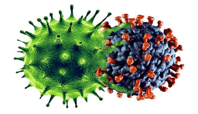 ¿Se podrá descubrir una quimera entre el coronavirus y la gripe? Algunos científicos creen que la probabilidad es escasa | Foto: ABC Ciencia