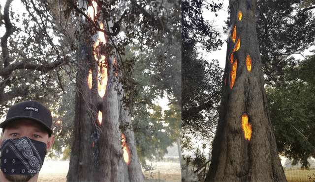 Facebook: grabó cómo los árboles se quemaban por dentro mientras huía de un incendio [VIDEO]