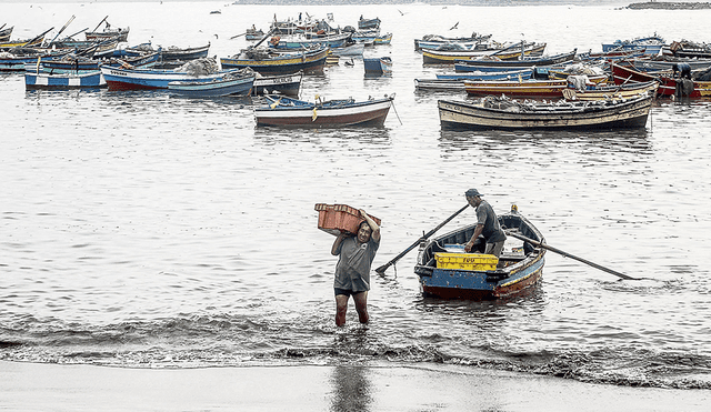 Pescadores artesanales piden defender las 5 millas
