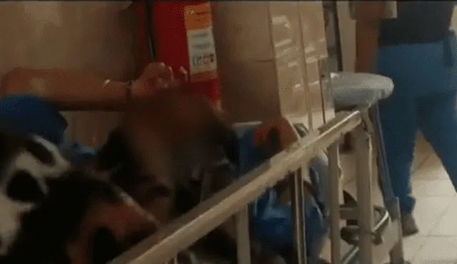 Ancón: mujer asesinó a sus dos hijos con veneno para ratas [VIDEO]