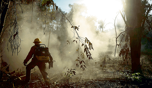 Amazonía: la mafia detrás de la muerte, la deforestación y el fuego