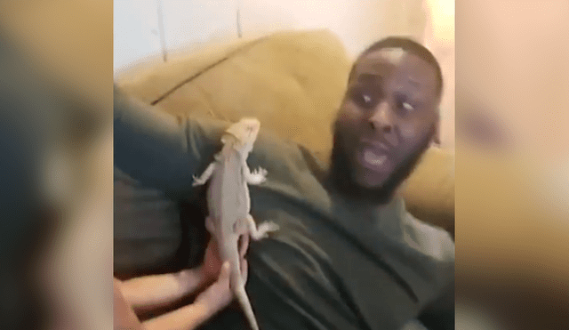 YouTube viral: así fue la divertida reacción de un padre al conocer la mascota de su hijo [VIDEO]