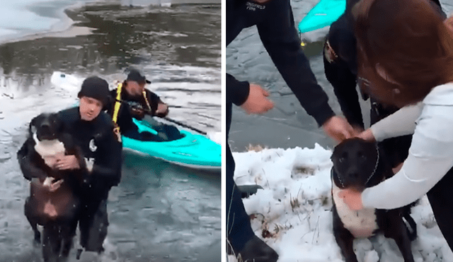 Desliza las imágenes para observar el rescate que realizó un policía tras ingresar a aguas congeladas para salvar a un perro.