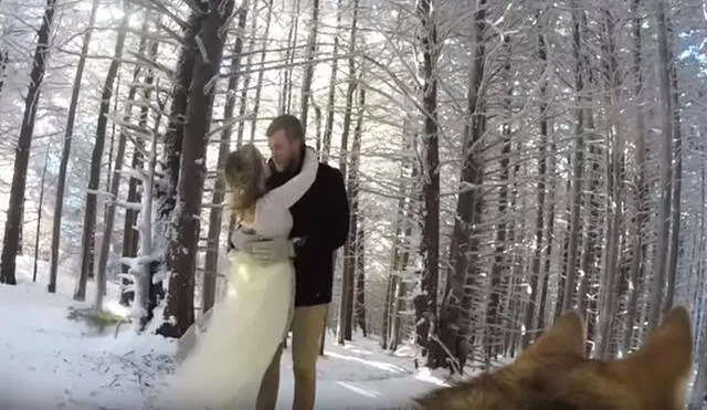 Vía Facebook: perro con cámara GoPro grabó imágenes inéditas de la boda de sus dueños [VIDEO]