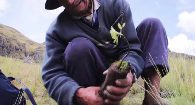 Agricultores de Cusco realizan esfuerzos contra el cambio climático.