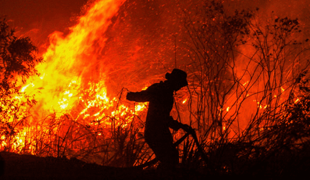 Indonesia vive uno de los peores incendios forestales en años. (Foto: Archivo AFP)
