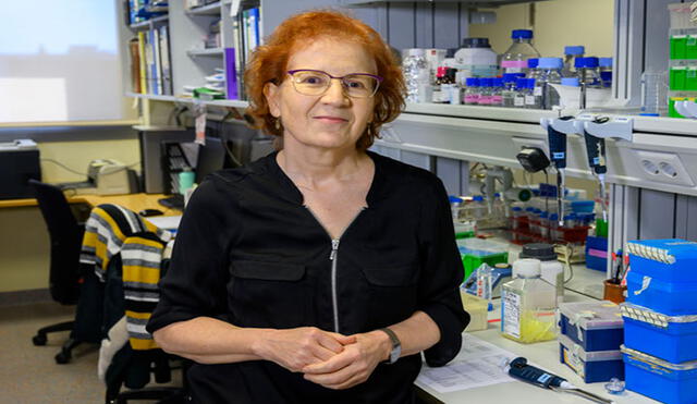 Como directora de la plataforma del Consejo Superior de Investigaciones Científicas, Margarita del Val es una de las mayores expertas sobre el coronavirus en España. Foto: CSIC
