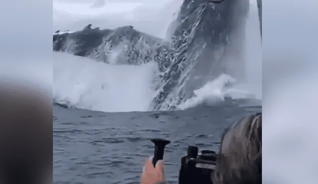 Desliza hacia la izquierda para ver el momento en que una ballena emerge del mar frente a los turistas, escena que es viral en YouTube.