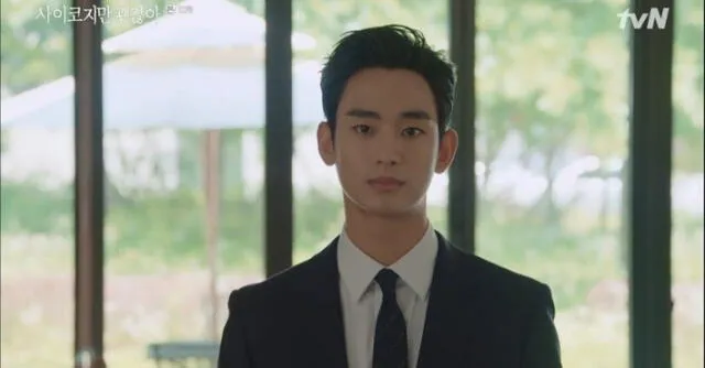 Kim Soo Hyun, It's okay to not be okay