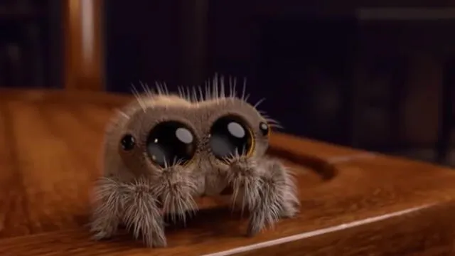 Facebook: ¿Miedo a las arañas? Este pequeño amiguito te hará cambiar de opinión [VIDEO]