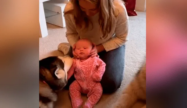 A través de Facebook se hizo viral el tierno momento en que un par de perros conocen a un bebé recién nacido.
